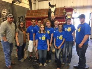 Greeley West FFA students take a picture with a Clydesdale.