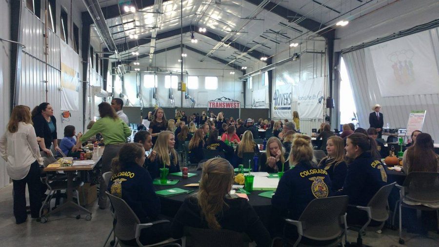 FFA+students+from+around+Northern+Colorado+work+on+a+group+presentation+at+the+Aspire+to+Grow+leadership+conference+for+women+in+agriculture+on+Wednesday%2C+November+16.