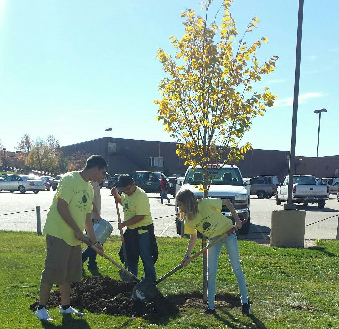 Junior Mary Tori, right, plants a tree with Taj Liscano and Khieuran Little Bear Goyathlay last week on campus.  