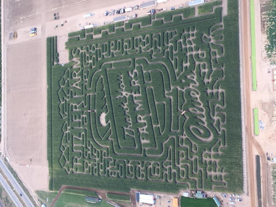 Fritzlers corn maze joins Culvers in honoring local farmers.  
