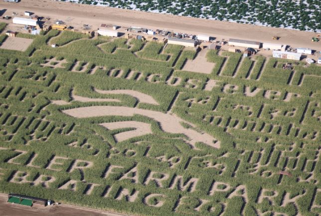 A view from above shows off this years Fritzlers Farm Park maze, based on a new partnership with UCHealth and the Denver Broncos. 