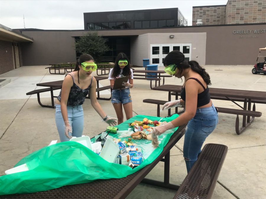 Trashy project:  APES students sort, classify student waste