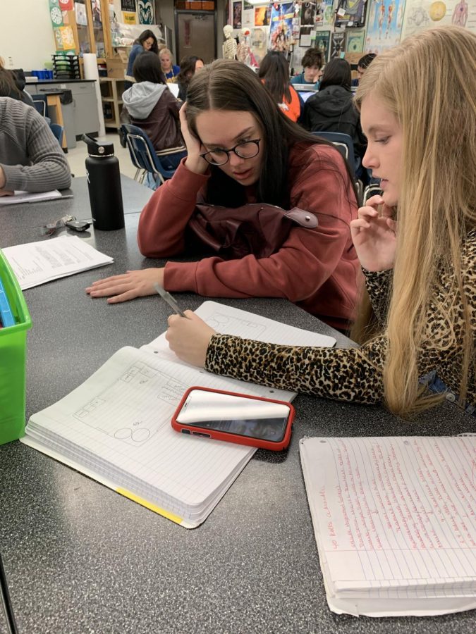 Seniors Mckenna Morgan (left) and Allison Dunn (right) work on project plan in class last Friday.