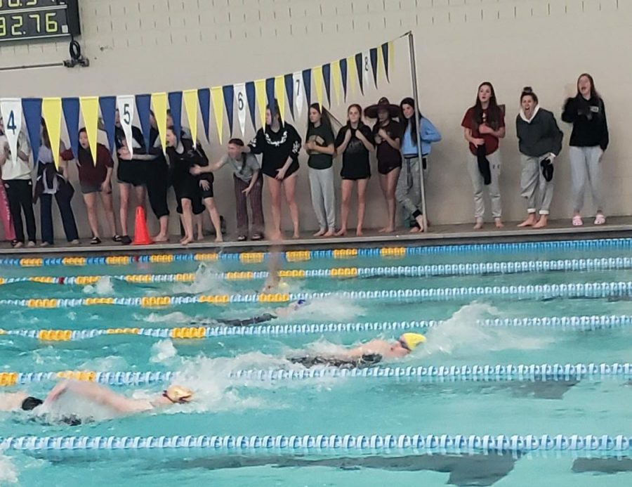 Freshman swimmer Kourtney Smith competes in the backstroke.  She will be swimming at the state meet Tuesday, looking to improve upon her school record.  