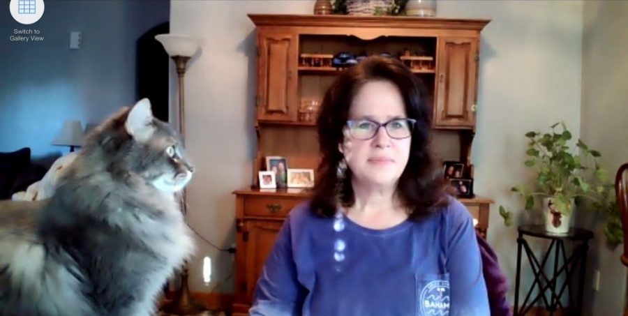 Ms. Kim Fishers cat interrupts class via the Zoom conference call. 