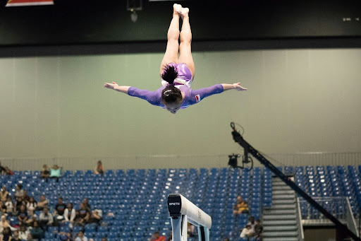 District 6 is considering adding gynastics to its roster of sports offerings. 