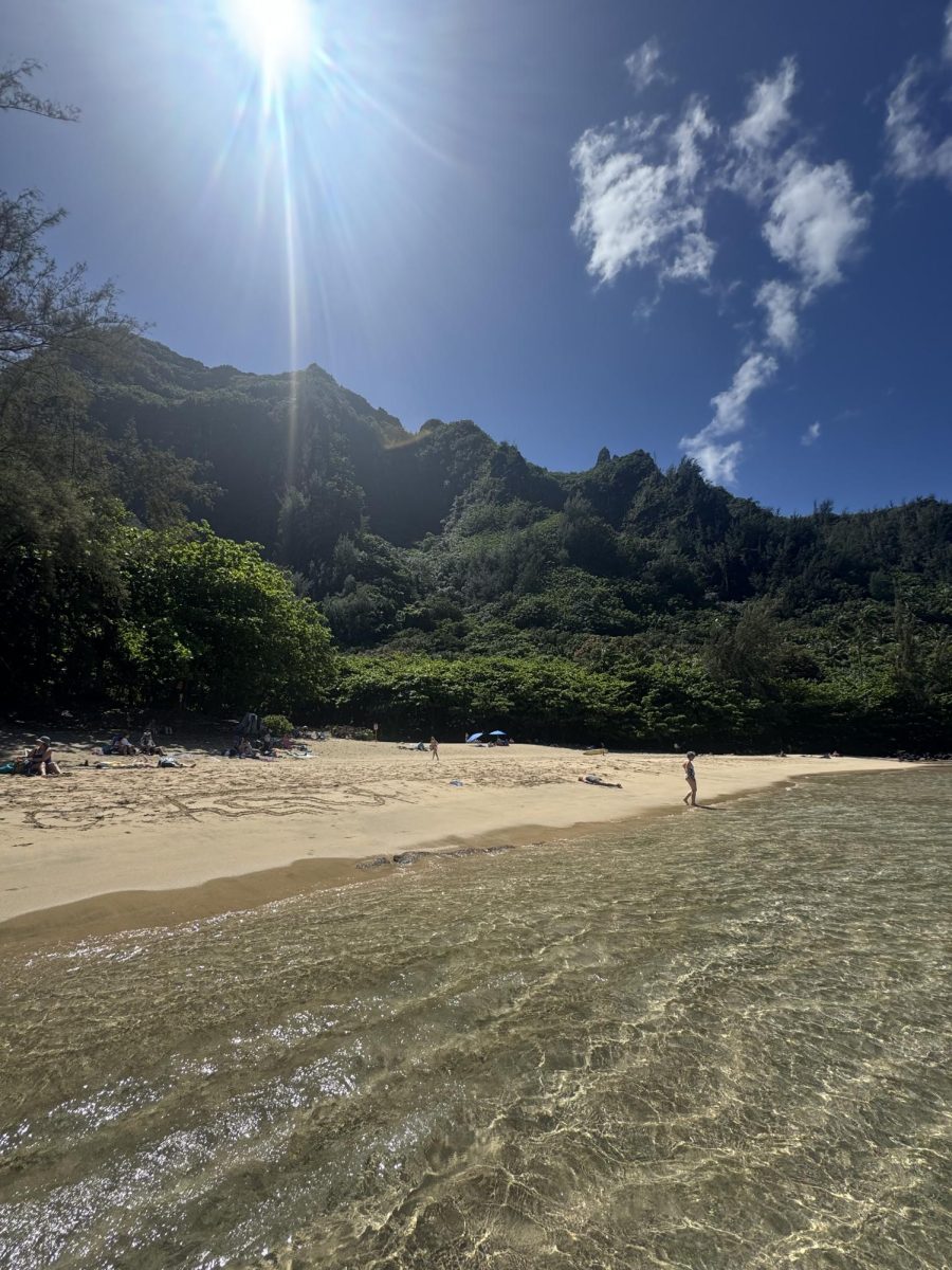 This is Treasure Beach.  Just one reason why Kauai is such a wonderful place to vacation. 